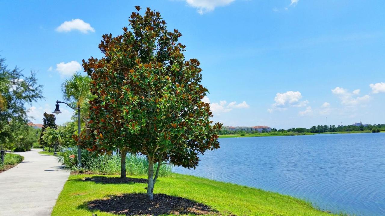 Beautiful Lakeview Deluxe Condo Near Theme Parks Orlando Exterior photo